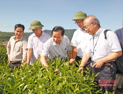 Tăng cường hợp tác đầu tư giữa các doanh nghiệp Nhật Bản và địa phương Việt Nam  - ảnh 1